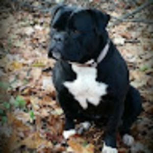 Meet your Posher, Elise